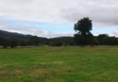 Non-developable land for sale on España, Cabezón de la Sal, ref: TR126732 photo