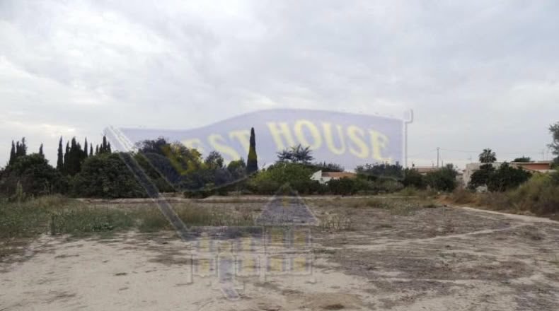 Murcia - Alguazas - 1120m2