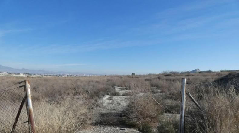 Murcia - Alguazas - 4434m2