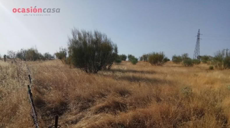 Córdoba - Pozoblanco - 16200m2