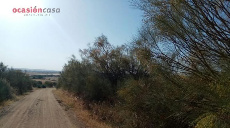 Córdoba - Pozoblanco - 16200m2