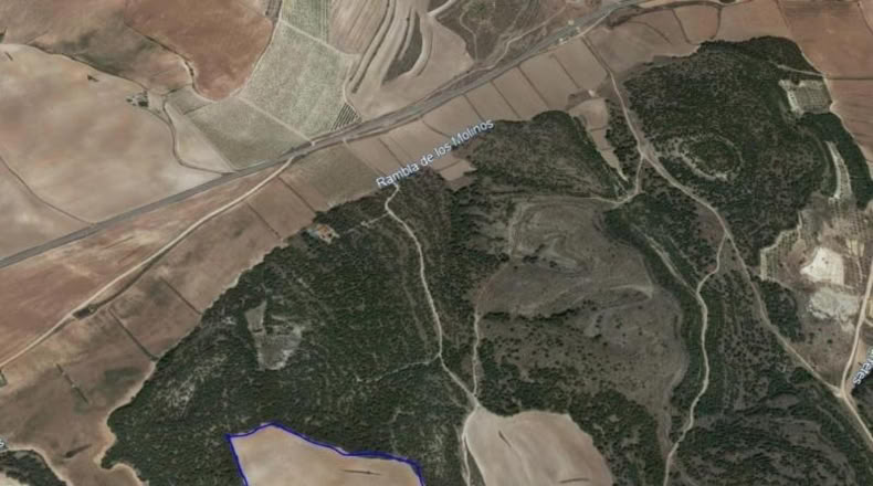 Albacete - Almansa - 22000m2