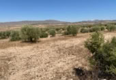 Terreny no urbanitzable en venda a la España, Jumella, ref.: TR118460 foto