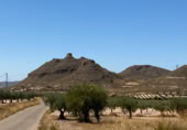 Terreny no urbanitzable en venda a la España, Jumella, ref.: TR118460 foto