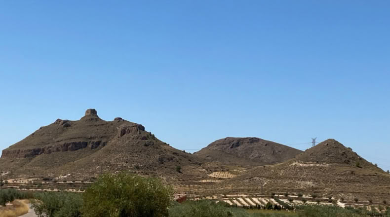 Múrcia - Jumilla - 16500m2