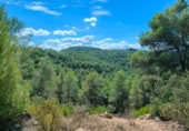 Detached villa with land for sale on España, Horta de Sant Joan, ref: TR322418 photo