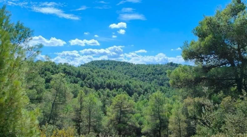 Tarragona - Horta de Sant Joan - 99901m2