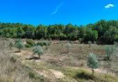 Detached villa with land for sale on España, Horta de Sant Joan, ref: TR322418 photo