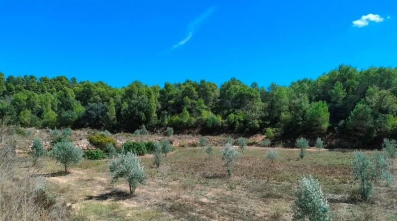 Tarragona - Horta de Sant Joan - 99901m2