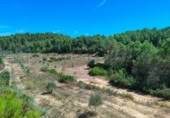 Detached villa with land for sale on España, Horta de Sant Joan, ref: TR322418 photo