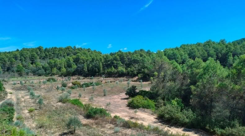 Tarragona - Horta de Sant Joan - 99901m2