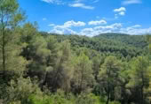 Detached villa with land for sale on España, Horta de Sant Joan, ref: TR322418 photo