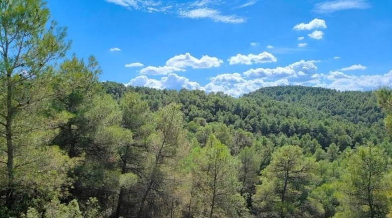 Tarragona - Horta de Sant Joan - 99901m2