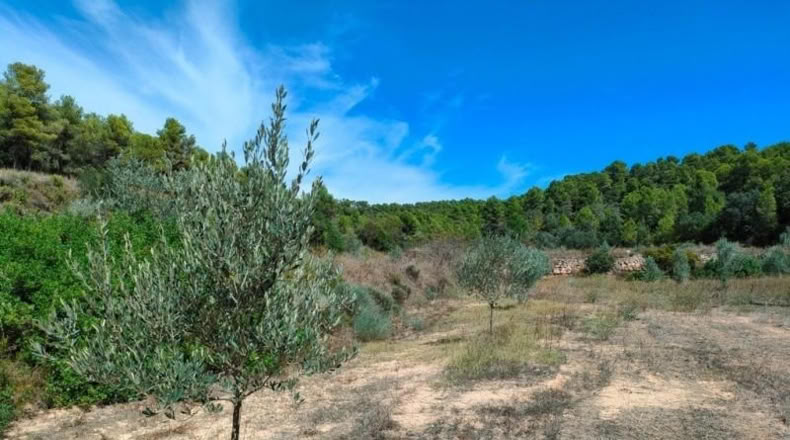 Tarragona - Horta de Sant Joan - 99901m2