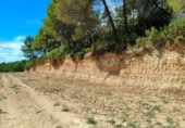 Detached villa with land for sale on España, Horta de Sant Joan, ref: TR322418 photo