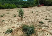 Detached villa with land for sale on España, Horta de Sant Joan, ref: TR322418 photo