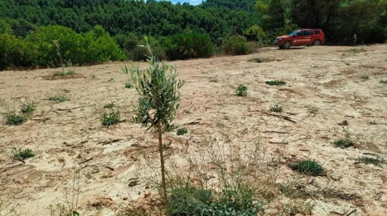 Tarragona - Horta de Sant Joan - 99901m2