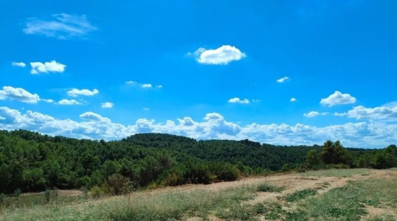 Tarragona - Horta de Sant Joan - 99901m2