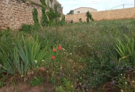 Calamocha 332&nbsp;m²