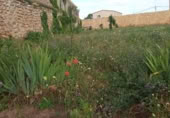 Sòl urbà en venda a la España, Calamocha, ref.: TR118749 foto