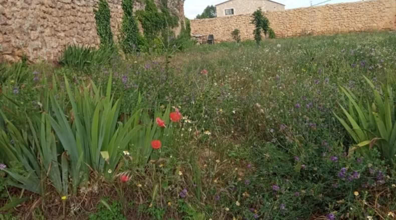 Teruel - Calamocha - 332m2