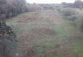 Terreno no urbanizable en venta en la España, Arroyo de la Luz, ref: TR118774 foto