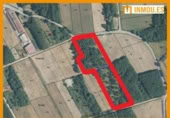 Terreno no urbanizable en venta en la España, Xunqueira de Ambía, ref: TR168538 foto