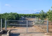 Terreny no urbanitzable en venda a la España, Almenara, ref.: TR339979 foto