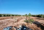 Terreny no urbanitzable en venda a la España, Almenara, ref.: TR339979 foto