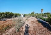 Terreny no urbanitzable en venda a la España, Almenara, ref.: TR339979 foto