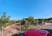 Terreny no urbanitzable en venda a la España, Almenara, ref.: TR339979 foto
