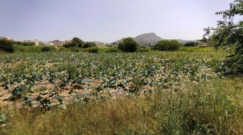 Murcia - Calasparra - 2725m2
