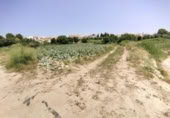 Terreny no urbanitzable en venda a la España, Calasparra, ref.: TR276733 foto