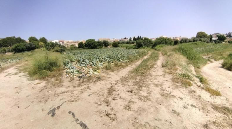 Murcia - Calasparra - 2725m2