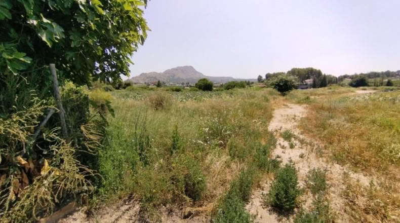 Murcia - Calasparra - 2725m2