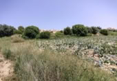 Terreny no urbanitzable en venda a la España, Calasparra, ref.: TR276733 foto
