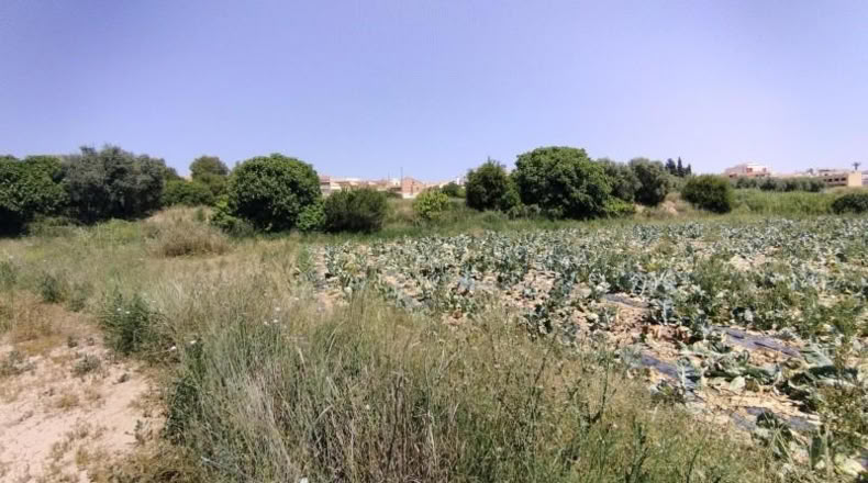 Murcia - Calasparra - 2725m2