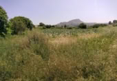 Terreny no urbanitzable en venda a la España, Calasparra, ref.: TR276733 foto