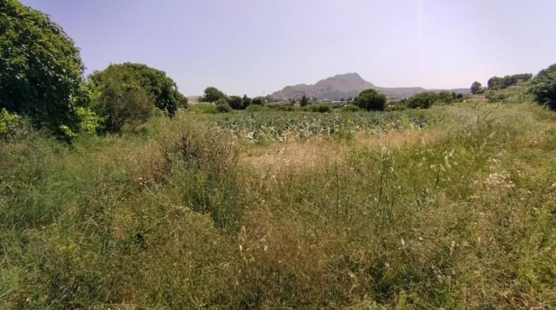 Murcia - Calasparra - 2725m2