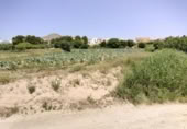 Terreny no urbanitzable en venda a la España, Calasparra, ref.: TR276733 foto