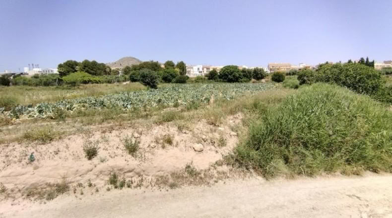 Murcia - Calasparra - 2725m2