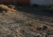 Suelo urbano en venta en la España, Moriles, ref: TR241750 foto