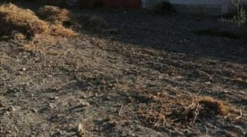 Córdoba - Aguilar de la Frontera - 500m2