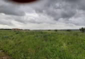 Land suitable for development for sale on España, Sierra de Fuentes, ref: TR116538 photo