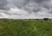 Land suitable for development for sale on España, Sierra de Fuentes, ref: TR116538 photo