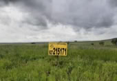 Land suitable for development for sale on España, Sierra de Fuentes, ref: TR116538 photo