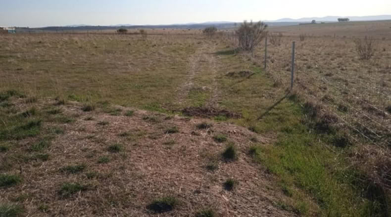 Cáceres - Sierra de Fuentes - 8700m2