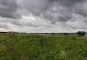 Land suitable for development for sale on España, Sierra de Fuentes, ref: TR116538 photo
