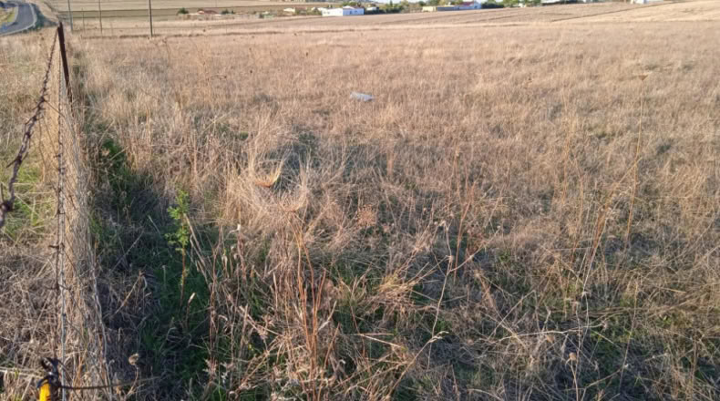 Cáceres - Sierra de Fuentes - 10000m2