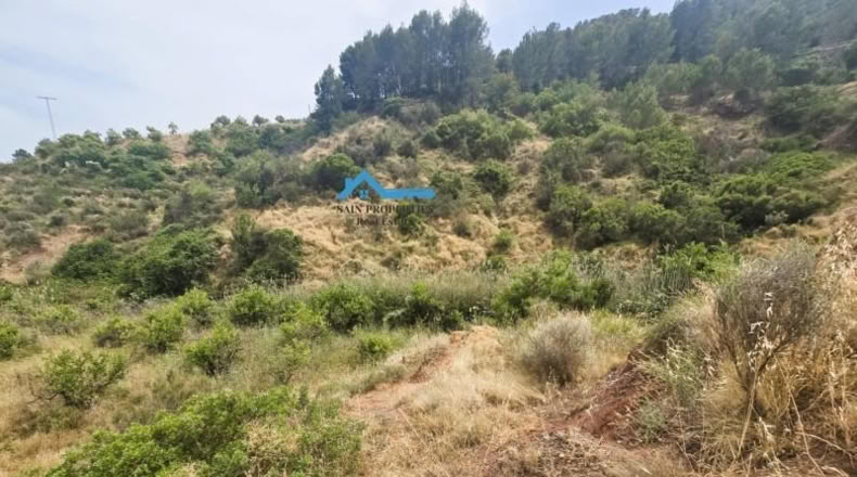 Orense - Laxas - 2122m2